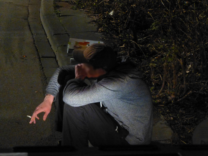 SV Waldhof Mannheim - KSV Hessen Kassel (3:0)